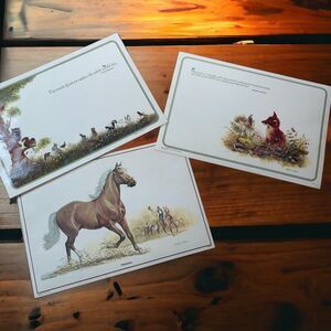AmericaMark Vtg 70s Placemats Set of 3 Wildlife/Flowers/Palomino Horse Laminated